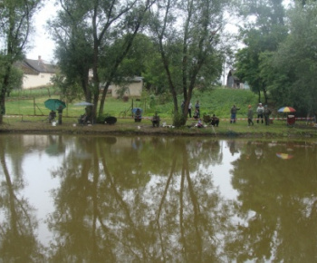 Kultúra a šport
