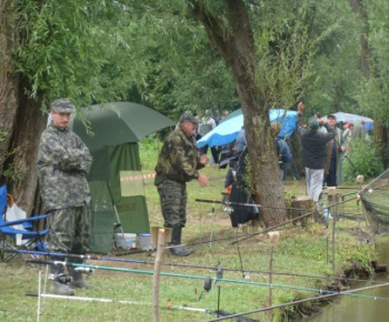 Kultúra a šport