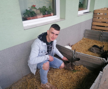 Husvéti készülődés
